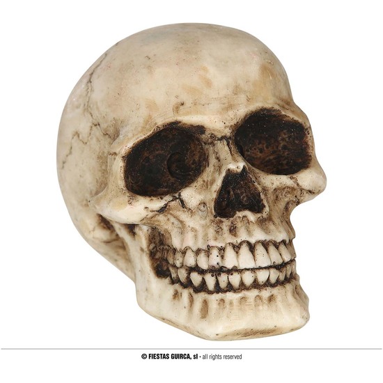 CALAVERA RESINA 8 CMS image 0