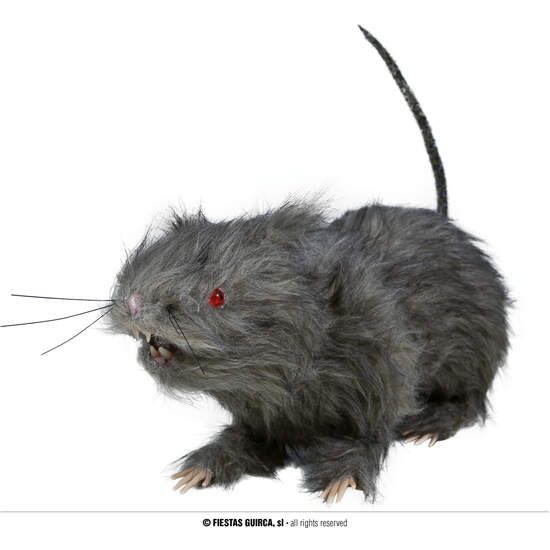 RATA 30 CMS. CON LUZ image 0