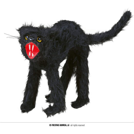 GATO 30 CMS. image 0
