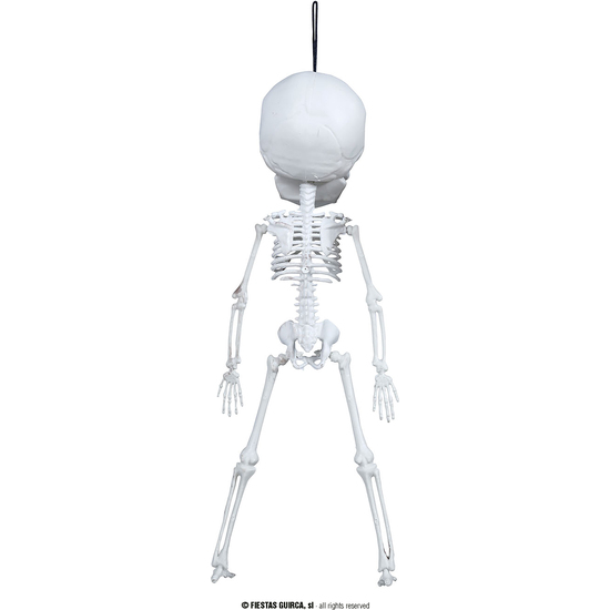 COLG.ESQUELETO CABEZON, 40 CMS. image 3