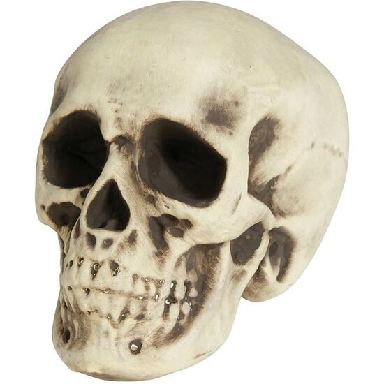 CALAVERA FOAM 20 CMS image 0