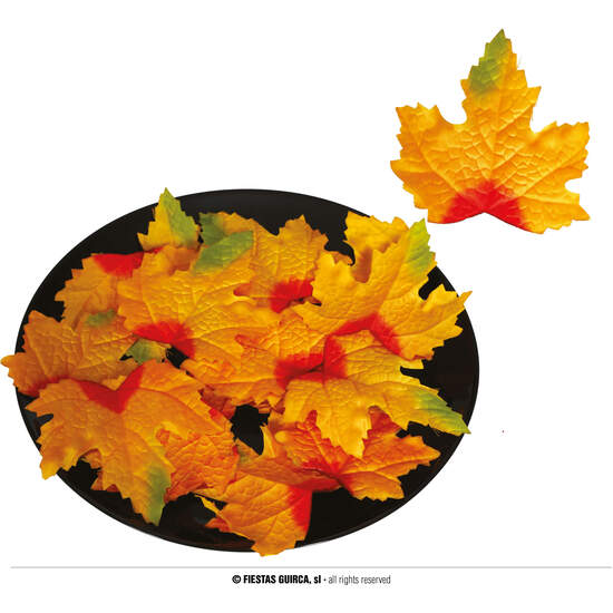 HOJAS CALABAZAS NARANJAS 24 PCS 9-10 CMS image 0
