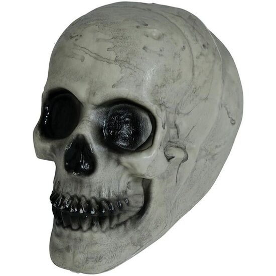 CALAVERA 20 CMS image 0