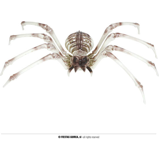 ESQUELETO ARAÑA 85X35 CMS image 0