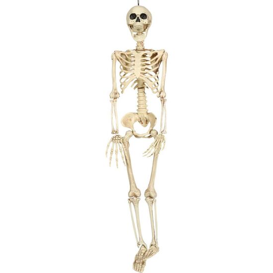 ESQUELETO 90 CMS. image 0