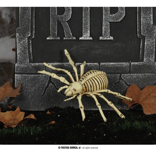 ESQUELETO ARAÑA 24 CMS image 0