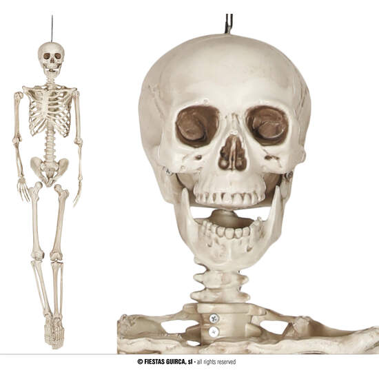 ESQUELETO 160 CMS. image 0