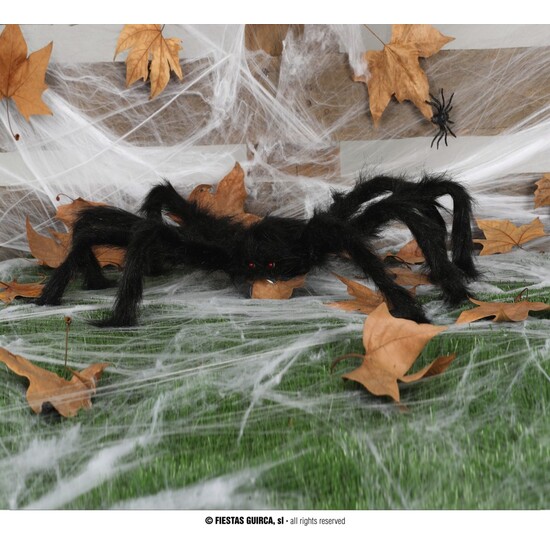 ARAÑA NEGRA, 70 CMS. image 0