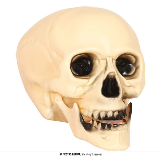 CALAVERA 20 CMS image 0