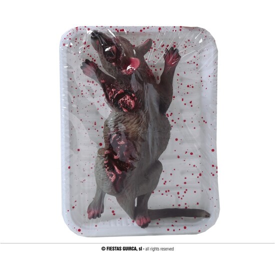 BANDEJA RATA, 19X12 CMS image 0