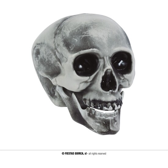 CALAVERA, PVC, 20 CMS image 0