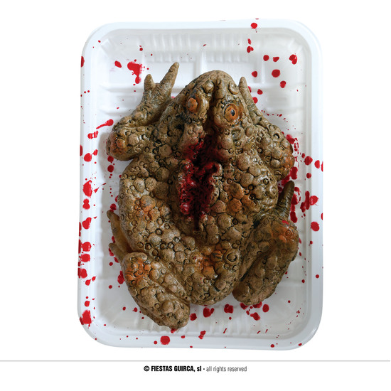 BANDEJA CON SAPO, 18X13 CMS image 0