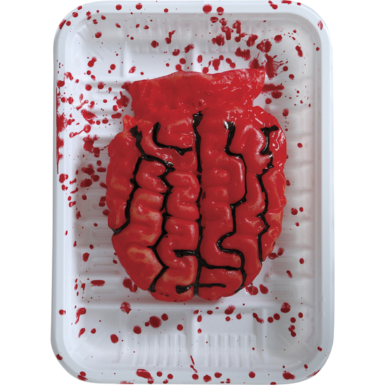 BANDEJA CON CEREBRO, 18X13 CMS image 0