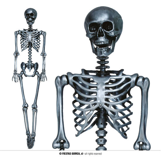 ESQUELETO PLATA 90 CMS image 0