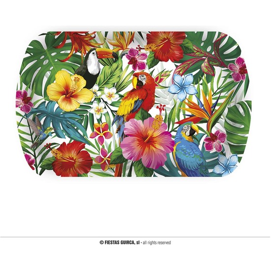 BANDEJA HAWAII, 39X24 CMS, PLASTICO image 0