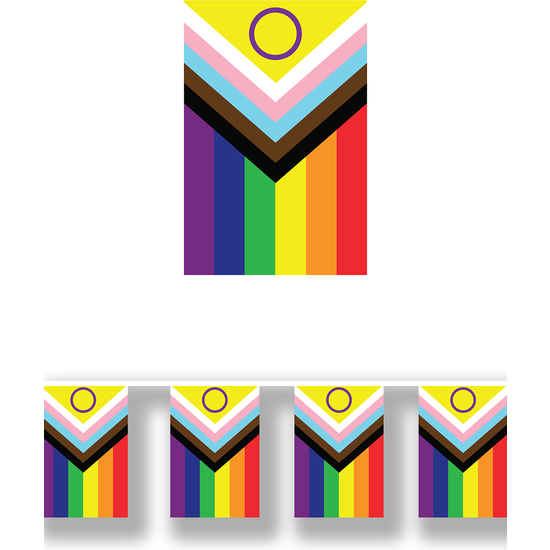 GUIR. BANDERA INCLUSIVA, 30X20 CMS, PAPEL, 2.5 MTS image 0