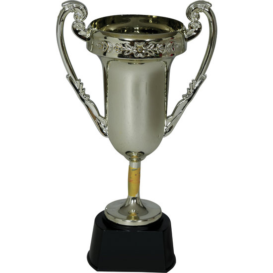 TROFEO Nº1 20 CMS image 0