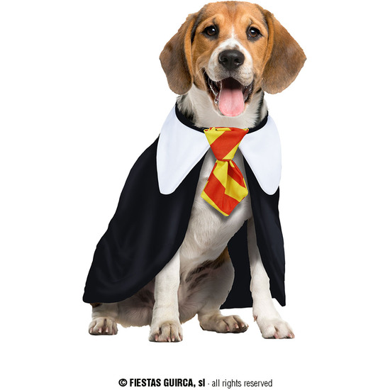 MAGIC STUDENT, MASCOTA, M - DOG image 0