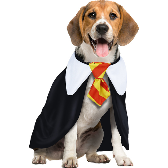 MAGIC STUDENT, MASCOTA, M - DOG image 1