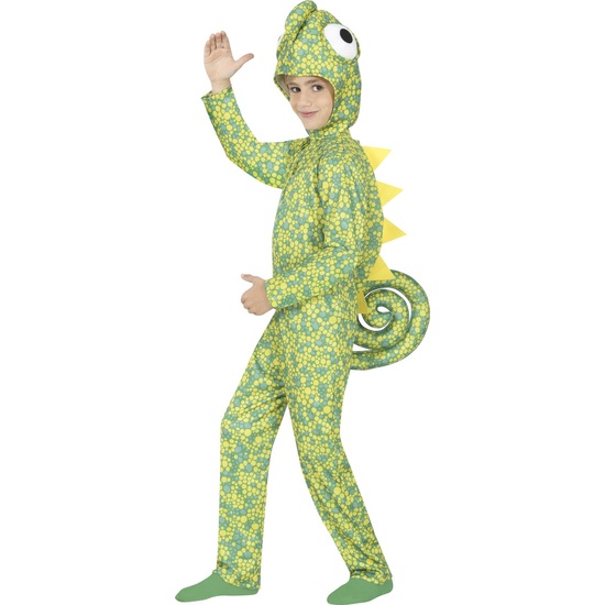 CAMALEON, INFANTIL, 5 – 6 AÑOS image 1