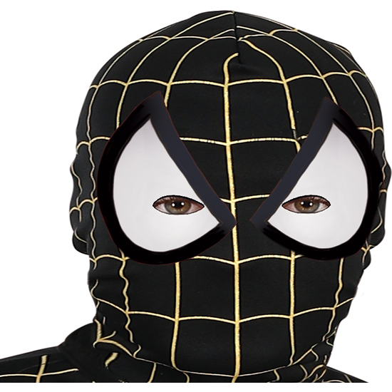 SPIDER HERO, ADULTO, 48 – 50 (M) image 5