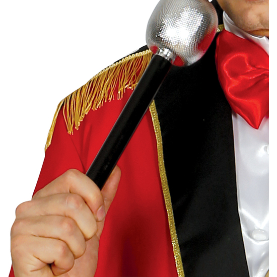 PRESENTADOR DEL CIRCO, ADULTO, 48 – 50 (M) image 5