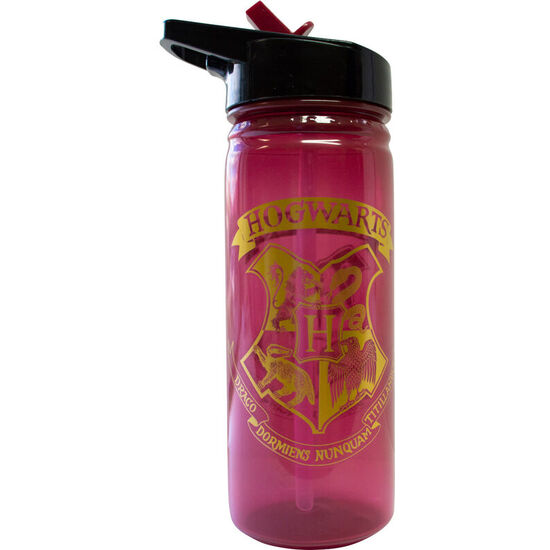 BOTELLA HOGWARTS HARRY POTTER 600ML image 0
