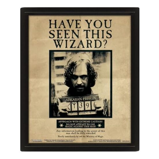 POSTER 3D LENTICULAR HARRY POTTER Y SIRIUS BLACK HARRY POTTER image 1