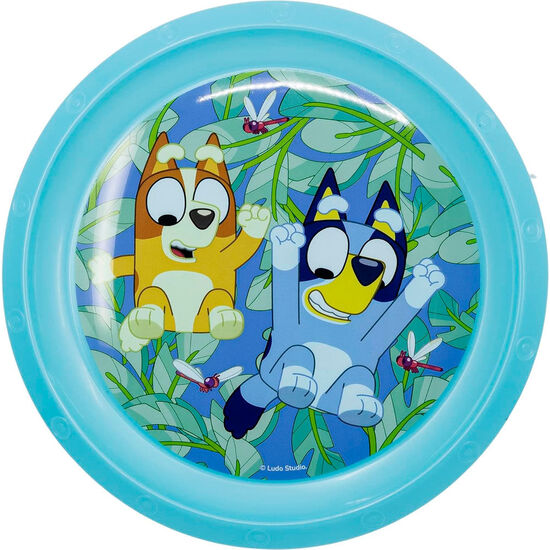 PLATO BLUEY image 1