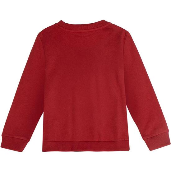 SUDADERA COTTON BRUSHED HOT WHEELS image 1