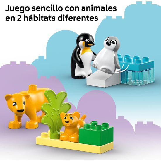 FAMILIAS FAUNA SALVAJE:PINGUINO image 4