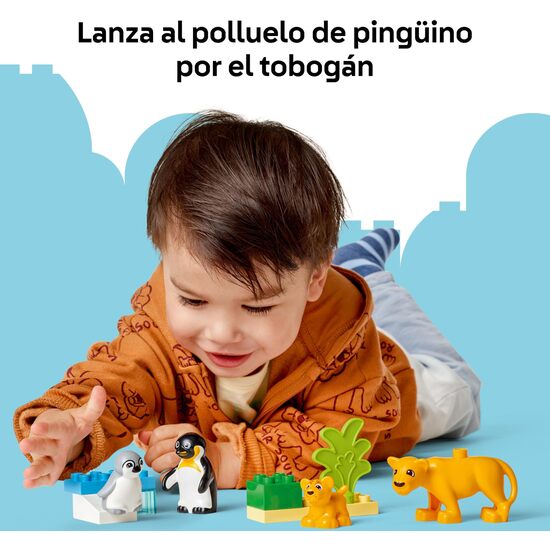 FAMILIAS FAUNA SALVAJE:PINGUINO image 5