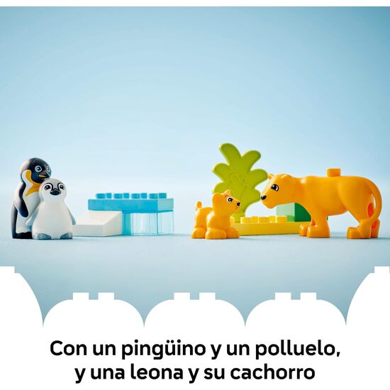 FAMILIAS FAUNA SALVAJE:PINGUINO image 6