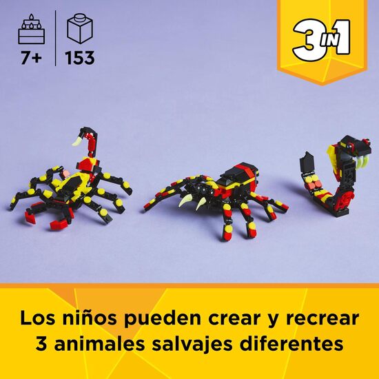 FAUNA SALVAJE:ARAÑA MISTERIOSA image 2
