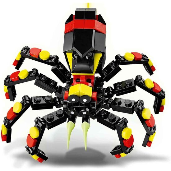 FAUNA SALVAJE:ARAÑA MISTERIOSA image 3