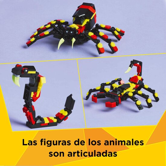 FAUNA SALVAJE:ARAÑA MISTERIOSA image 5