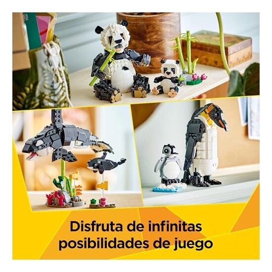 FAUNA SALVAJE:FAMILIA DE PANDAS image 3