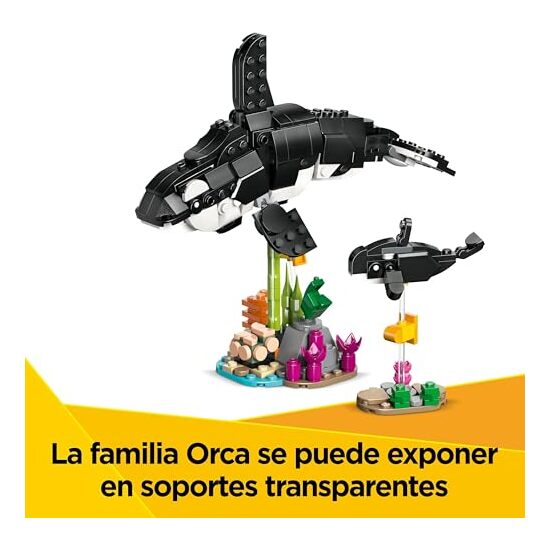 FAUNA SALVAJE:FAMILIA DE PANDAS image 4