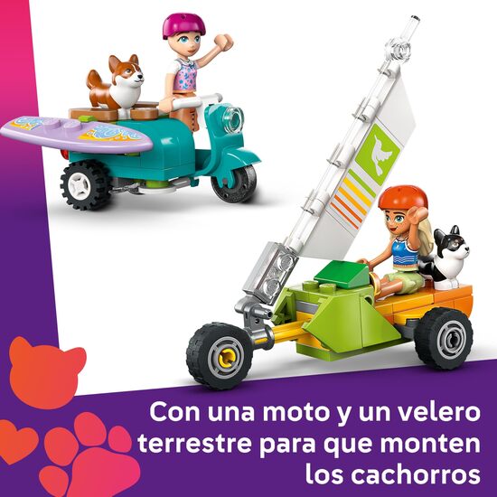 MASCOTAS SURFERAS Y AVENTURAS SOBRE image 3