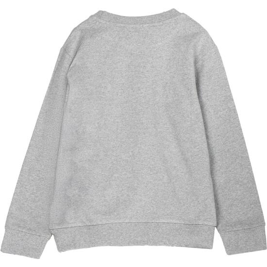 SUDADERA COTTON BRUSHED TOY STORY image 1