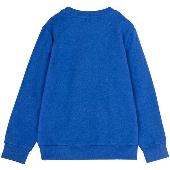 SUDADERA COTTON BRUSHED STITCH image 1