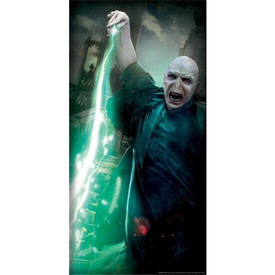 DOOR COVER VOLDEMORT image 0