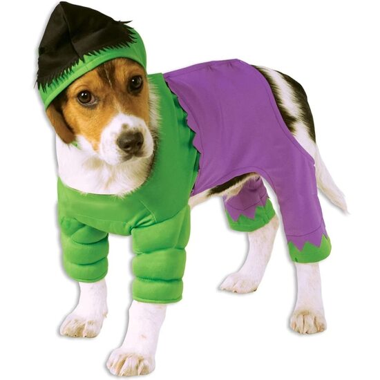DISFRAZ HULK MASCOTA image 0