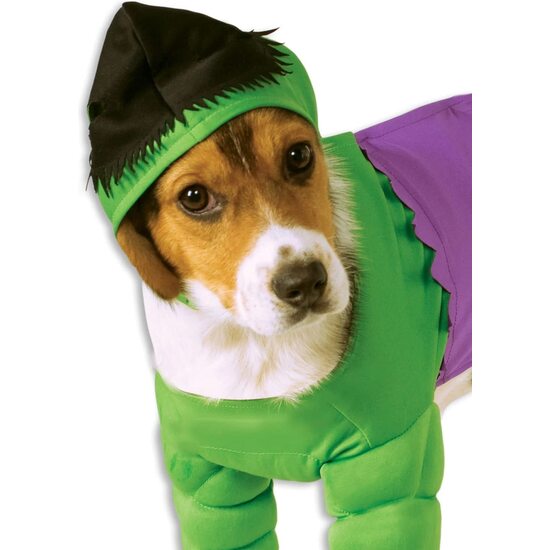DISFRAZ HULK MASCOTA image 1
