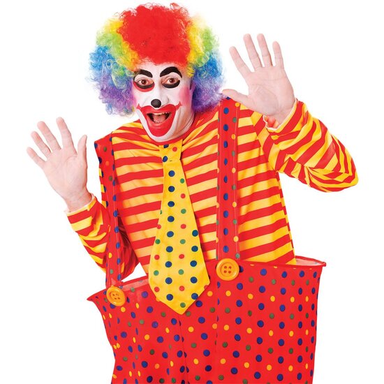 PELUCA PAYASO RAINBOW image 0