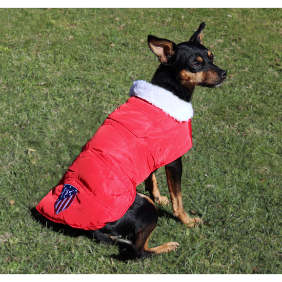 ATLÉTICO DE MADRID ABRIGO IMPERMEABLE PARA PERRO TALLA XS image 3