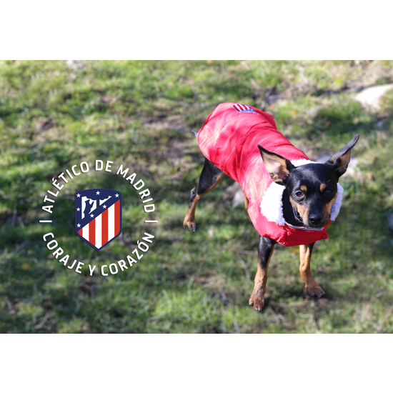 ATLÉTICO DE MADRID ABRIGO IMPERMEABLE PARA PERRO TALLA XS image 4