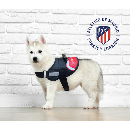 ATLÉTICO DE MADRID ARNÉS REFORZADO CON RELLENO PARA PERRO TALLA L ATLÉTICO M image 4