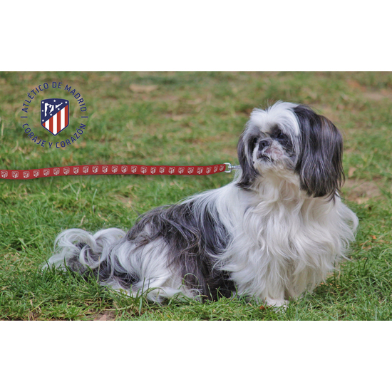 ATLÉTICO DE MADRID CORREA PARA PERRO  TALLA L image 4
