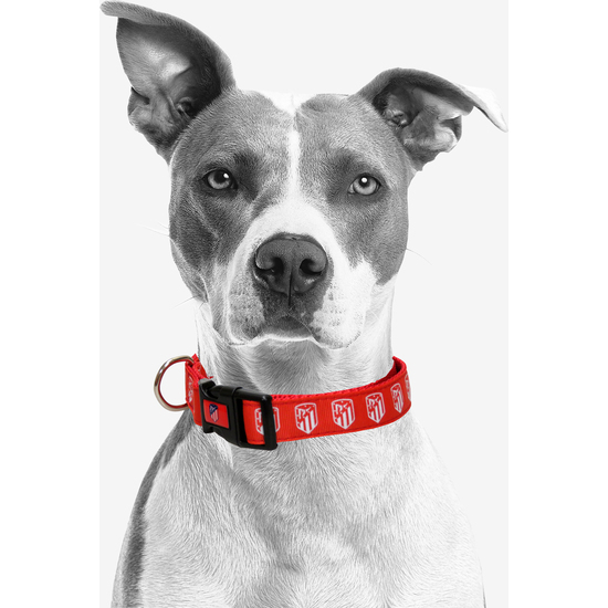 ATLÉTICO DE MADRID COLLAR PARA PERRO  TALLA L image 3